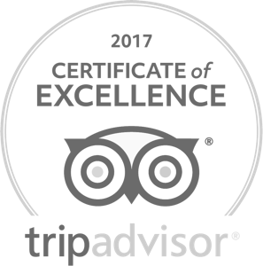 tripadvisor excellence